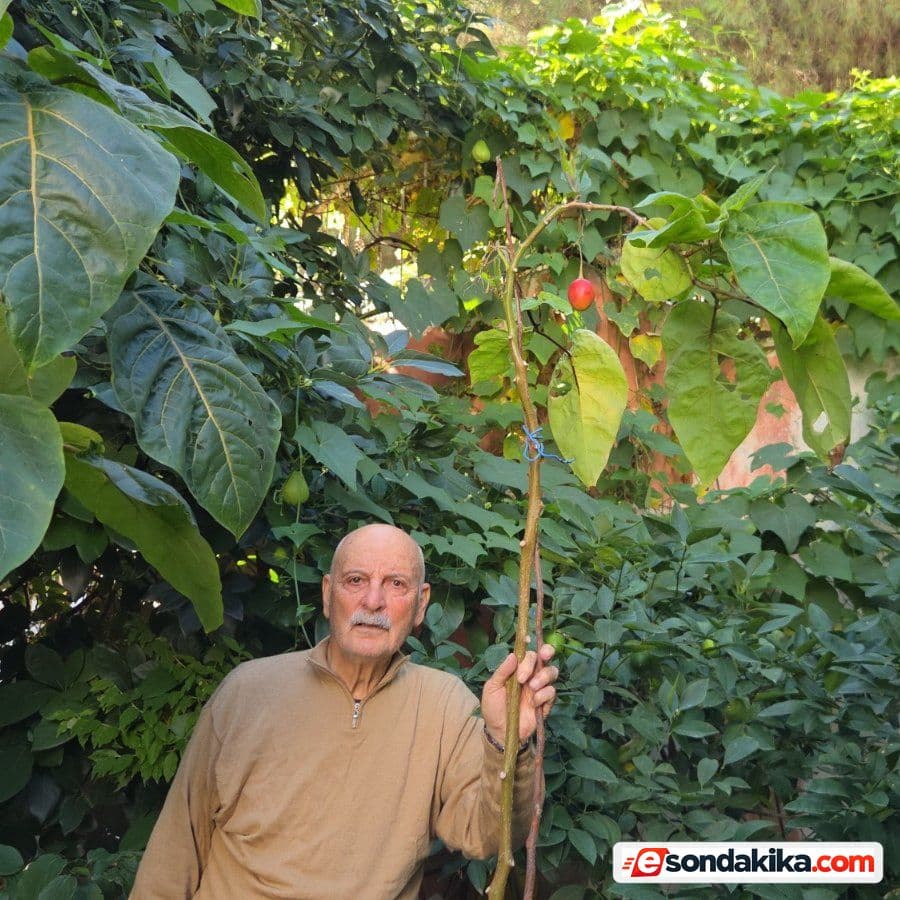 Retired Teacher, 82, Grows 200 Varieties in Samsun Garden