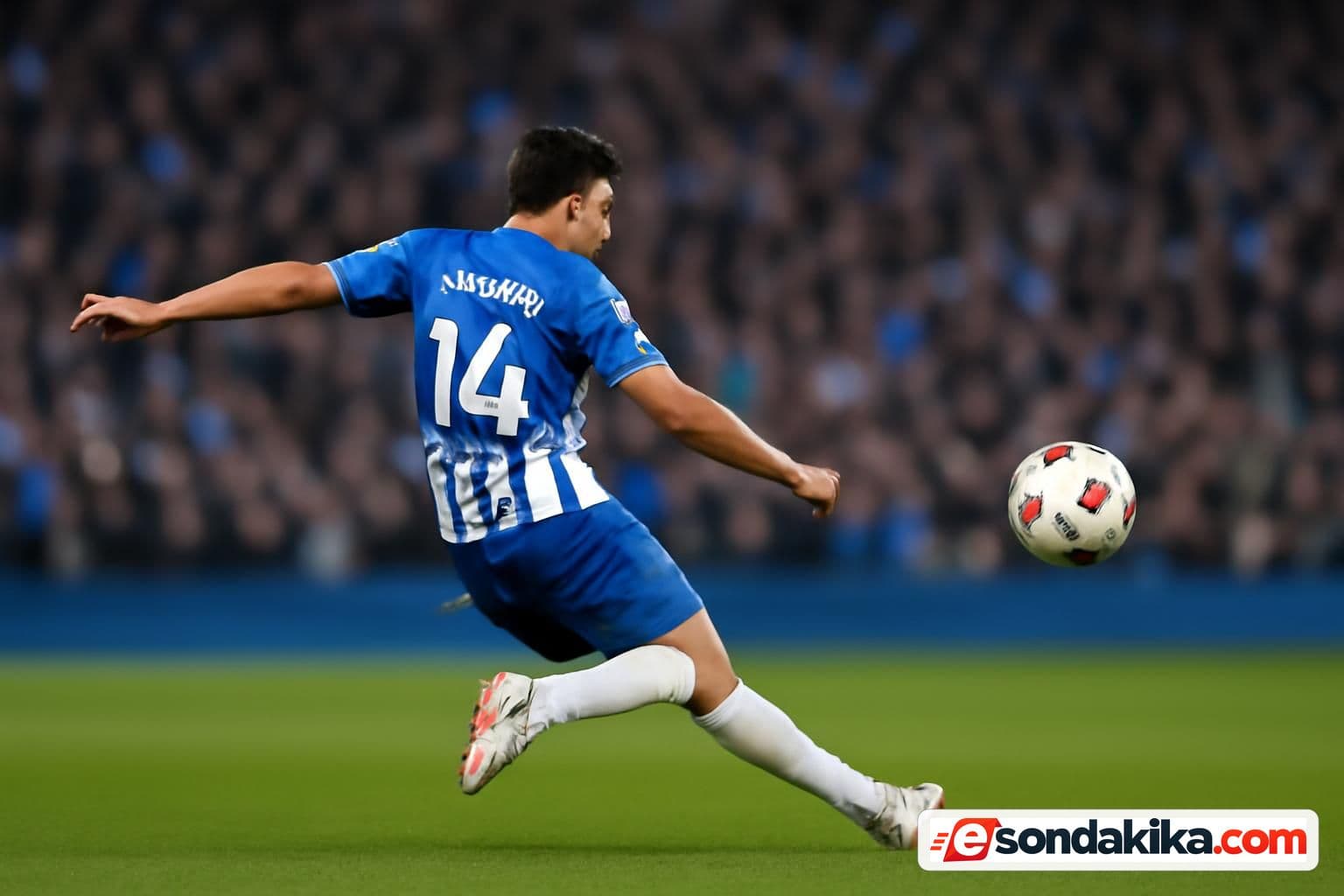 Diego Gomez scores a goal from midfield for Brighton