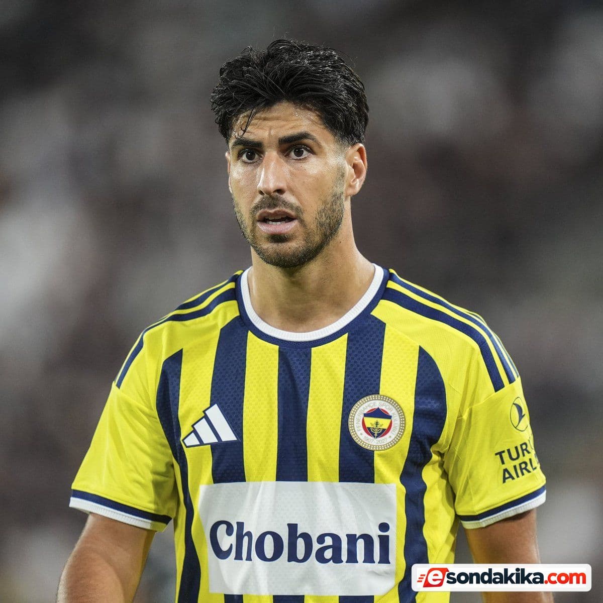 Marco Asensio to undergo surgery