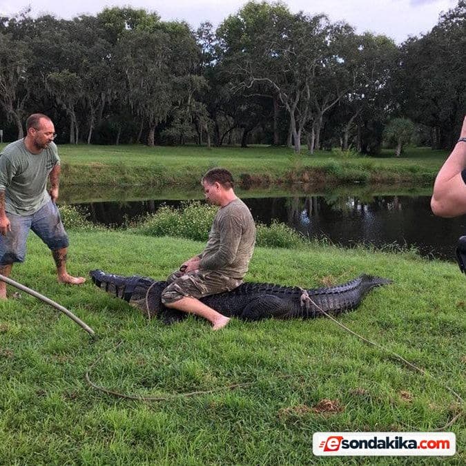71-year-old dies after crocodile attack while fishing in the US