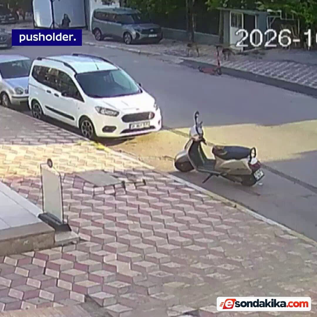 Hatay’da 15 yaşındaki kız çocuğu köpek saldırısında yaralandı